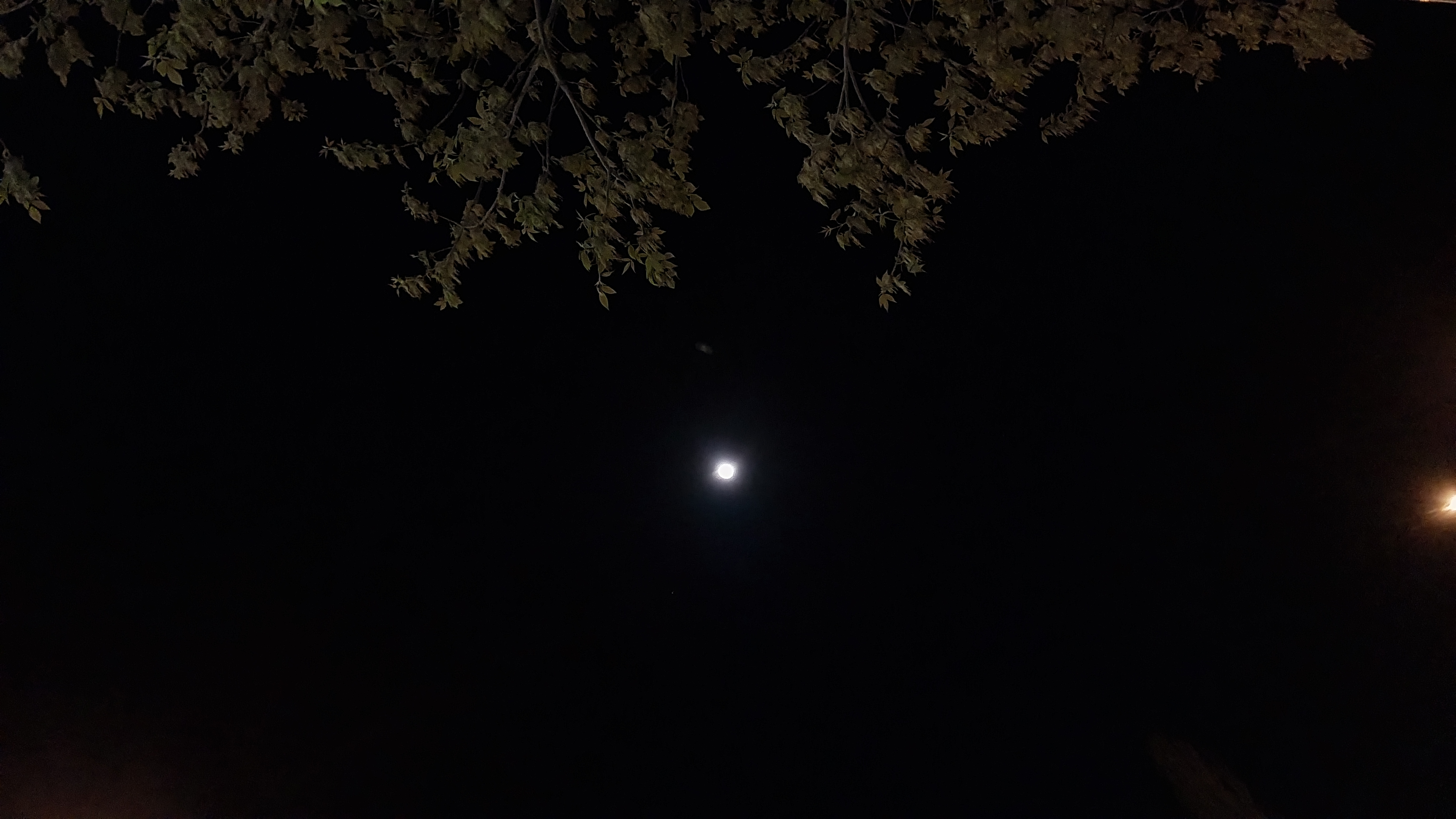 Bahar