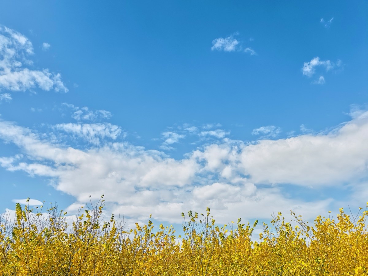 Değişim ve Deyişim